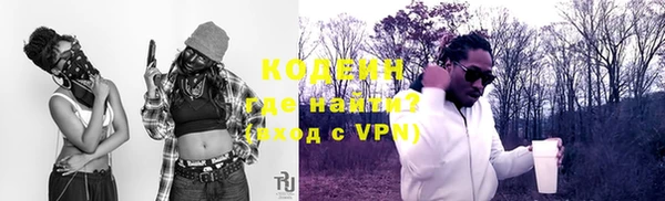 ПСИЛОЦИБИНОВЫЕ ГРИБЫ Ельня