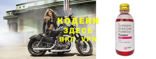 ПСИЛОЦИБИНОВЫЕ ГРИБЫ Ельня