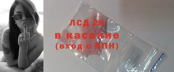 индика Заводоуковск