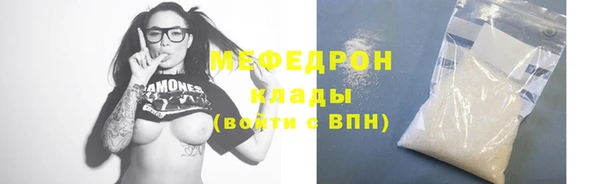 индика Заводоуковск