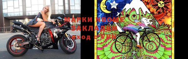 ПСИЛОЦИБИНОВЫЕ ГРИБЫ Ельня