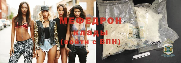 индика Заводоуковск