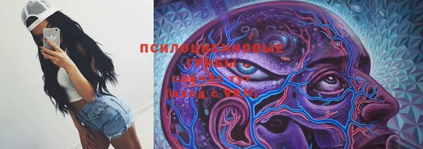 крисы Елизово