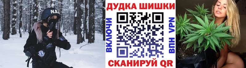 Купить закладки  Заозёрный  Бошки Шишки VHQ 
